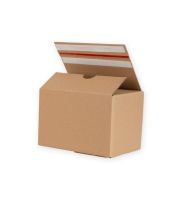 karton e commerce z dnem automatycznym i paskiem klejowym 300x200x190 mm 