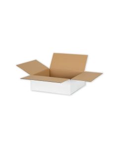 karton klapowy bialy 200x150x80