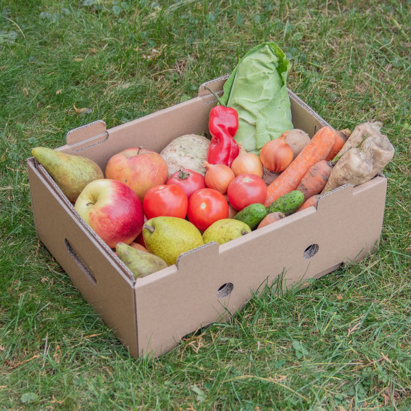 pudełko kartonowe na warzywa i owoce